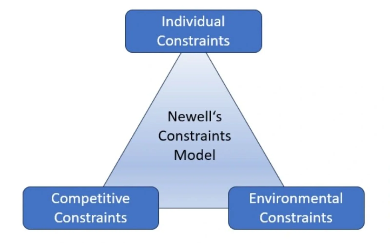 Newell’s constraints model: a triangle linking individual, competitive and environmental constraints